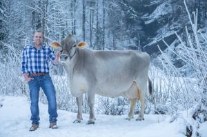 WENDI CH 120.0329.0637.7 Suter Christian AR8I9964